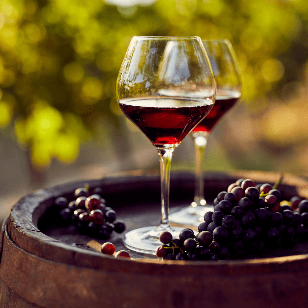 Think You Know Every Type of Dry Red Wine? Guess Again